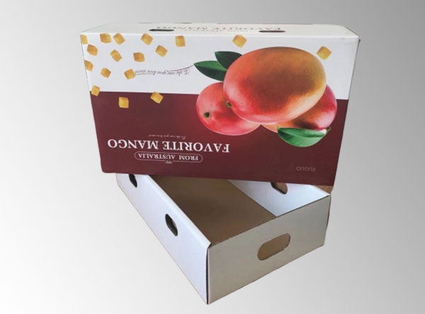 丹東水果包裝紙箱